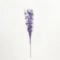 Purple glitter berry stem Christmas tree decoration artificial sparkling branch floral picks. - 12 Branches 60 Berries (43cm) / Eggplant Purple