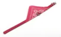 Detailed view of the red pet dog collar featuring an integrated paisley pattern triangular bandana scarf. - Rose Red
