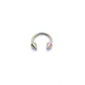 Roestvrij staal regenboog hoefijzer ring piercing sieraden voor neus lip en septum. - Regenboog Met Spits