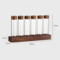 Coffee bean dosing test tube rack set with wooden base and six clear glass storage tubes. - 6-Hole Walnut Wood Base + 6 Glass Tubes