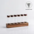 Support de présentation de grains de café en tube de verre à 6 trous avec base en bois et valve - Style Bas à Vanne d'Échappement 6 Trous / 6 Trous / Couleur Noyer