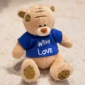 Cute patch teddy bear plush toy with blue t shirt and lovely embroidery details for gifts. - Patch Bear - Light Brown Clothes Style
