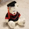 Graduation teddy bear plush toy wearing doctor cap and gown cute stuffed animal gift - Patch Bear - White Doctor Style