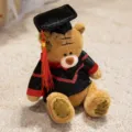 Plush graduation bear toy with doctoral cap and gown, cute patch design and sweet paw embroidery. - Patch Bear - Dark Brown Doctor Style