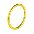 Gold tone stainless steel hinged segment ring detail view for daily piercing body jewelry. - 1.2*10mm / Gold