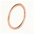 Rose gold titanium steel clicker ring detail for nose, lip, and ear piercing body jewelry. - 1.2*10mm / Rose Gold