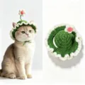 Cute handmade crochet cat hat with little flower sprout, perfect pet costume accessory. - S / Green