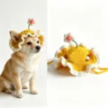 Hand-knitted cute daisy yellow pet hat for cats and dogs crochet headwear variant - L / Yellow