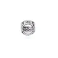Silver Aquarius zodiac charm bead, vintage style star pendant for DIY bracelet necklace. - Aquarius