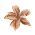 Nahaufnahme Detail des 3D Stoff Lilien Blumen Haarklammers mit feiner Textur und Kunststaubblättern. - Hellkaffee