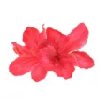 Detailed view of the red artificial azalea flower hair clip, perfect for Chinese style. - Red