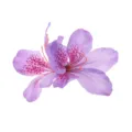 Close-up detail of the vintage artificial azalea flower hair clip accessory, delicate petals. - Light Purple