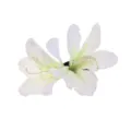 Close-up detail of white artificial azalea flower hair clip, delicate fabric floral accessory. - Beige