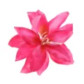 Rosa Stoff Lilie Blume Haarspange dekoratives Accessoire für Damen Urlaub Styling Stk - Fuchsia