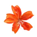 Oranger Stoff Lilienblumen Haarclip Accessoire, 3D Blumen Design für Urlaubsstil. - Orange