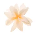 Feine Stoffblume Detailaufnahme, hochwertiges Seidenmaterial, elegantes Blumendesign für Dekoration. - Beige