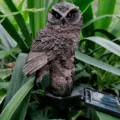Solar Uil Tuinlicht Buiten Waterdicht LED Grondpen Lamp Tuin Decoratie Beeldje - Donkerbruin