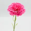 Fleur artificielle oeillet simple tige courte en soie rose rose decoration interieure table - Rose Foncé