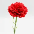 Fleur artificielle œillet rouge tige unique en soie pour décoration de table maison. - Rouge Vif