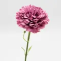 Oeillet artificiel tige unique branches courtes fleur de soie mauve d'automne deco - Violet d'Automne