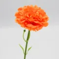 Œillet artificiel orange à tige unique fleur en soie pour décoration maison et table. - Orange
