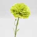 Fleur d'œillet artificielle verte à courte tige pour la décoration de maison et table. - Vert