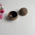 Close up detail shot of natural coconut shell bowl container showing raw texture and smooth dark interior. - Natural Style 9-10cm