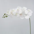 White 9-head film Phalaenopsis artificial orchid single branch for wedding party home decor - Height Approx. 95cm / White