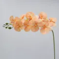 Artificial Phalaenopsis Orchid Branch 9 Heads Champagne Faux Flower for Home Wedding Decor - Height Approx. 95cm / Champagne