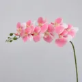 Artificial Phalaenopsis Orchid Single Branch Light Pink 9 Heads Faux Flower Decor - Height Approx. 95cm / Light Pink