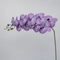Artificial Phalaenopsis Orchid single branch 9 heads purple flower for home decor wedding. - Height Approx. 95cm / Platycodon Purple