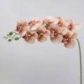 9 Heads Artificial Phalaenopsis Orchid Flower Branch Fake Silk Orchid Home Wedding Decor - Height Approx. 95cm / Light Coffee