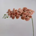 Artificial Phalaenopsis orchid branch 9 heads dark coffee silk flower home wedding decor - Height Approx. 95cm / Dark Coffee