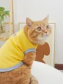Cute yellow mesh summer pet clothes breathable sleeveless cat vest with gray trim - S / Yellow