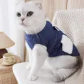 Cat denim winter vest cute pet clothes with pocket and traction ring warm two-leg apparel - XS / Dark Blue