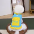 Cute winter warm dog vest for small dogs, blue and yellow color block pet clothes with pocket. - S / Blue