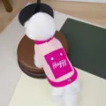 Warm winter dog vest for small dogs, candy color high collar two-legged pet apparel with pocket. - S / Pink