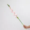 Fiore di gladiolo artificiale rosa chiaro ramo lungo per decorazione domestica e tavolo. - Rosa chiaro