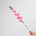 Stelo di Fiore di Gladiolo Artificiale Rosa Scuro, 80cm Lungo Finto Decorazione per Casa - rosa scuro