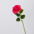 Artificial rose flower fake rose for home decoration wedding table floral arrangement pink - Rose Red