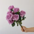Artificial Rose Bouquet 9 Heads Morandi Dark Purple Fake Flowers Home Wedding Decor - Deep purple