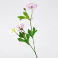 Stelo di fiore artificiale margherita cosmea 3 teste per decorazione casa e ristorante - Viola Chiaro-Cuore Verde