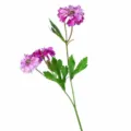 Ramo di margherita viola artificiale finto cosmo decorazione casa 45cm lungo - Viola Scuro-Cuore Verde
