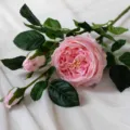 Fausse rose Austin simple tige fleur rose pour décoration maison centre de table mariage - Rose