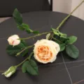 Fleur Artificielle Rose Austin 3 Tetes Champagne Beige Branche pour Deco SKU Pro - Champagne