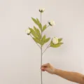 Ramo di peonia artificiale a 4 teste, bianco latte, lunghezza 70cm, ideale per decorare casa. - Bianco Crema