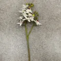 Ramo di orchidea artificiale in materiale di gomma morbida, variante per decorazioni domestiche. - Bianco Premium 10 Fiori