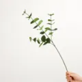 Finto fiore di ramo singolo di eucalipto verde artificiale, lunghezza 65 cm, decorazione. - Verde