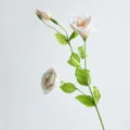 Τεχνητό λουλούδι Eustoma μονό κλαδί σε χρώμα σαμπάνιας για διακόσμηση σπιτιού. - Σαμπανιζέ