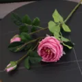 Fiore di Rosa Austin Artificiale Rosa con 3 Teste Rametto di Fiore Sintetico Decor SKU - Viola scuro